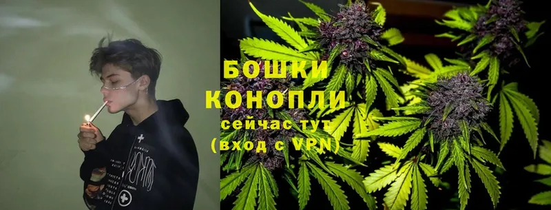 Конопля SATIVA & INDICA  Большой Камень 